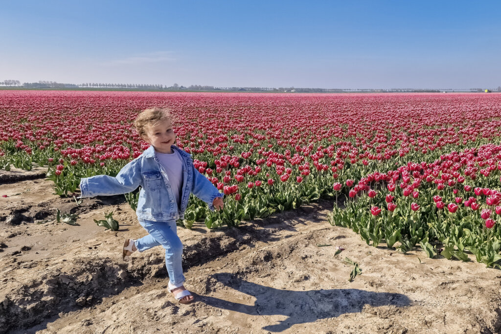 Tulpenvelden met kinderen Nederland