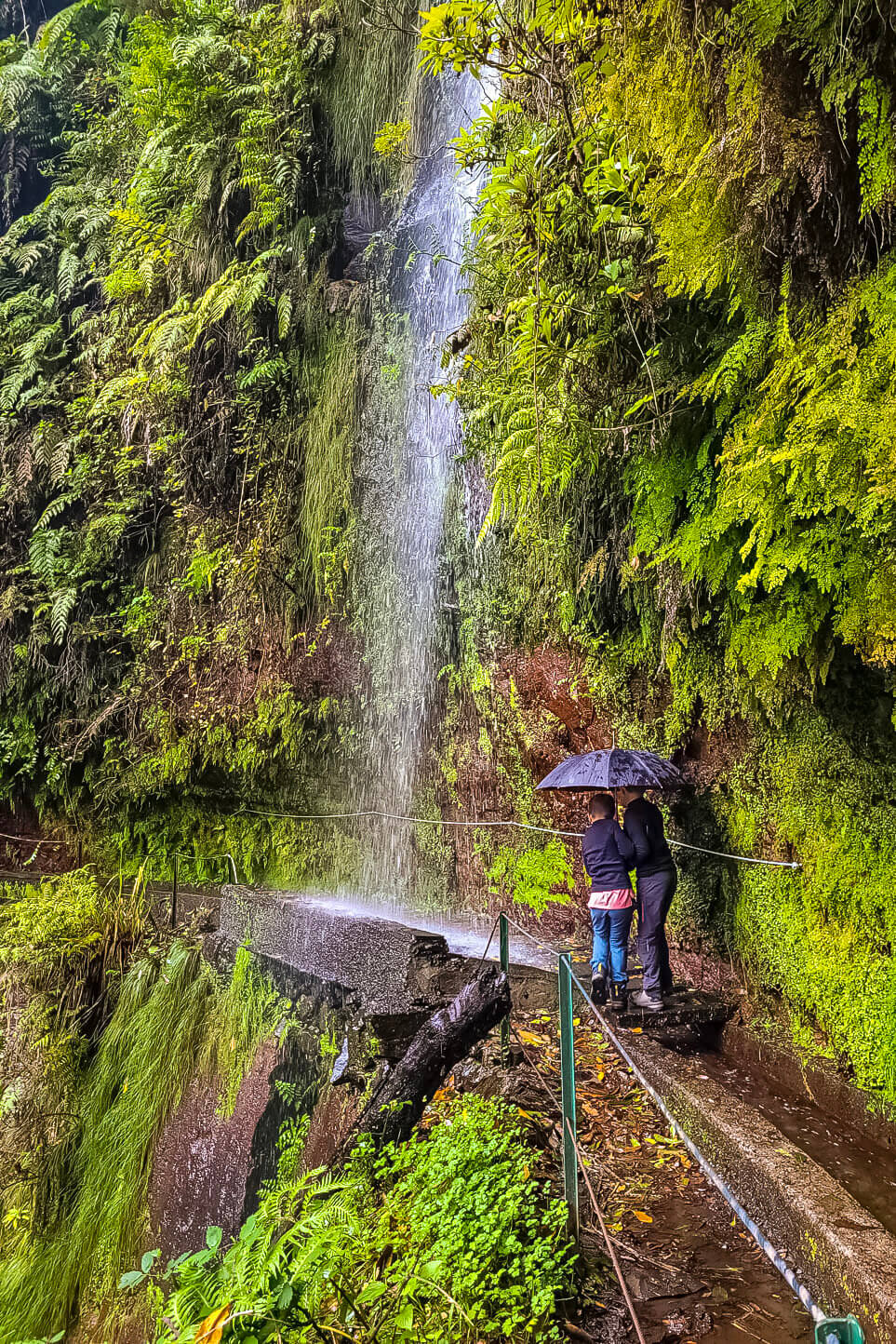 Portugal Madeira met kinderen