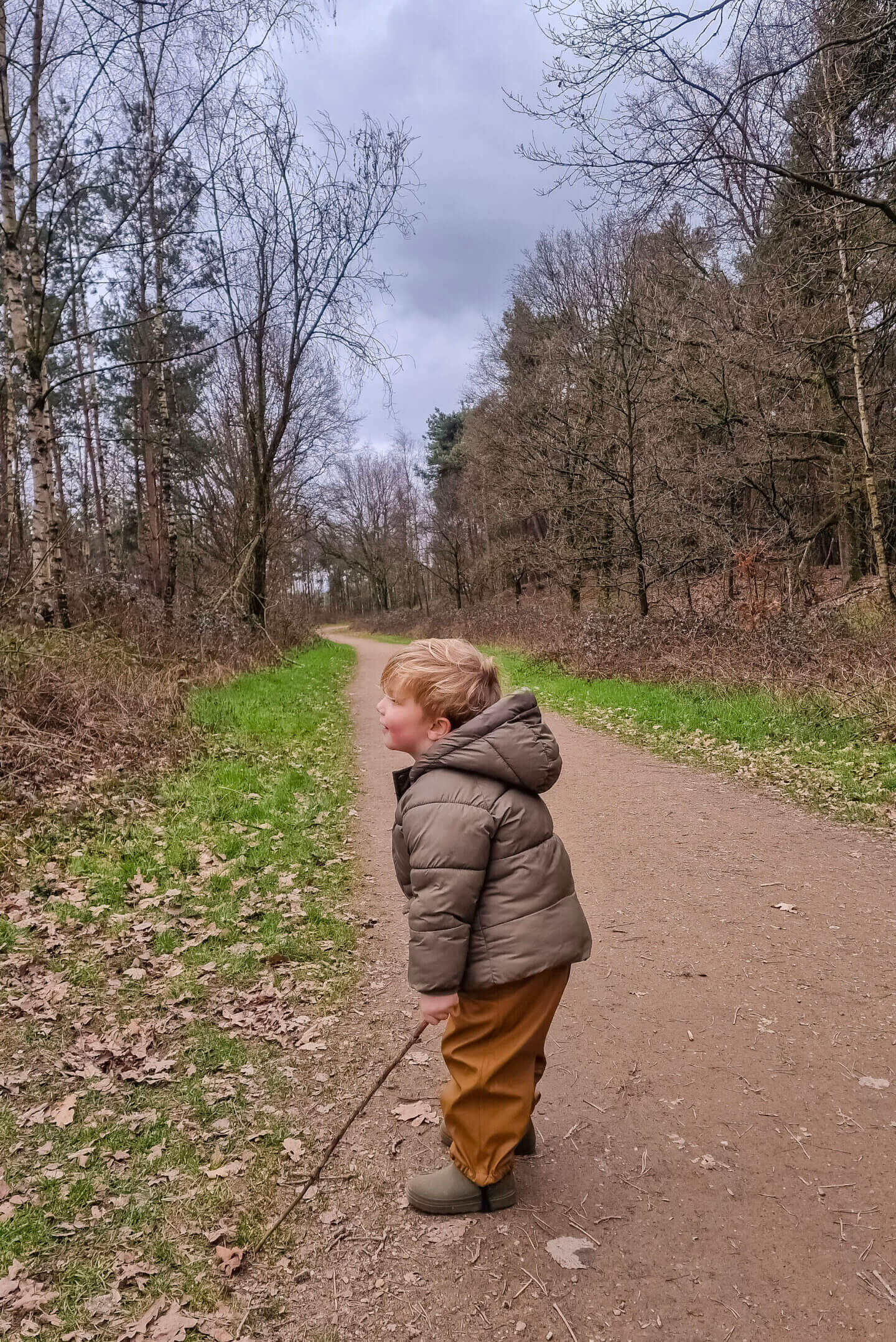 Speelbossen Nederland