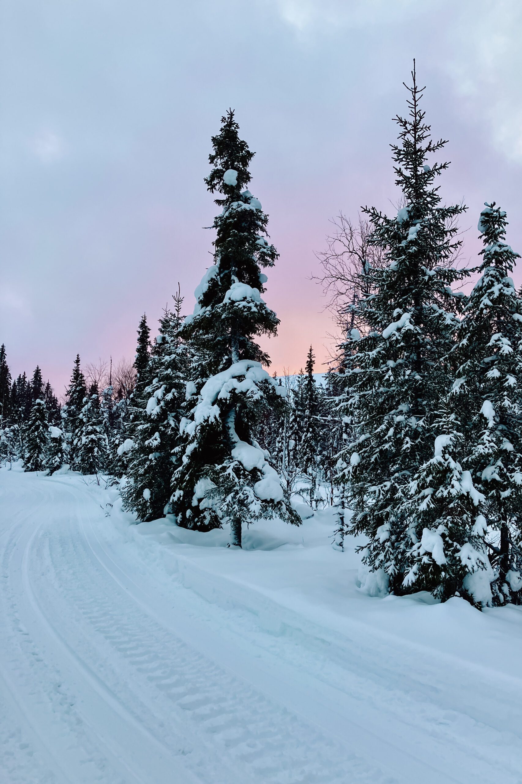 Finnish Lapland with children