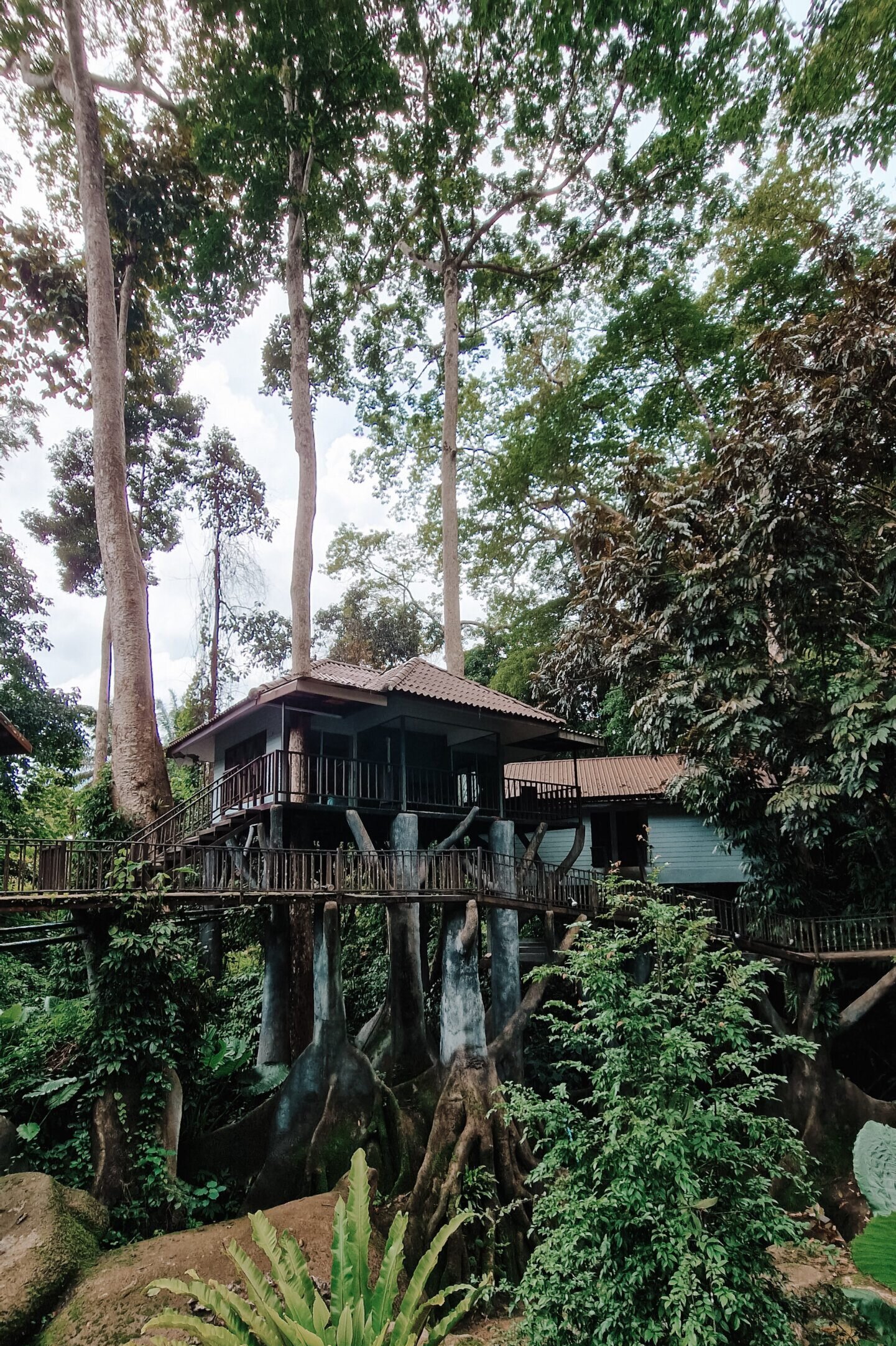 Rock and Treehouse Resort - Cheow Lan Lake met kinderen