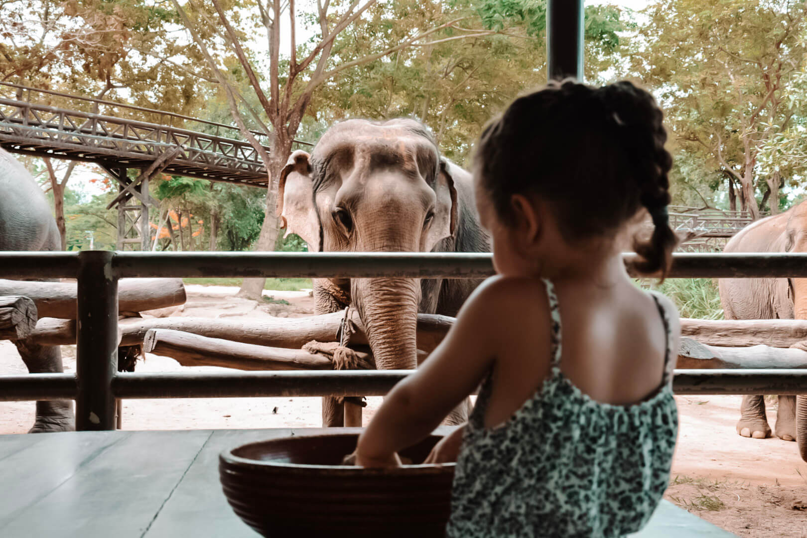 Rondreis Thailand met gezin