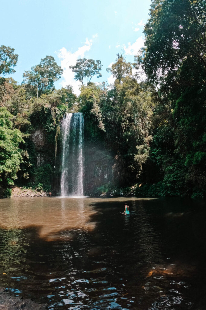 Queensland met kinderen - Millaa Millaa Falls