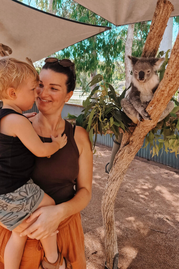 Queensland met kinderen - Billabong Sanctuary