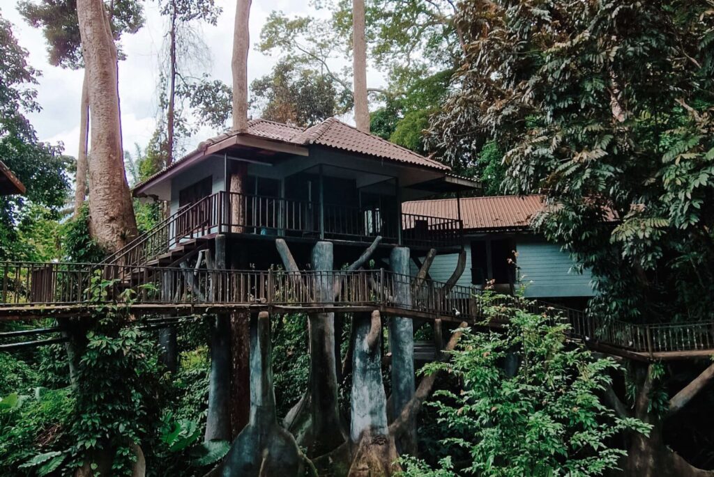 Kindvriendelijke hotels Khao Sok National Park