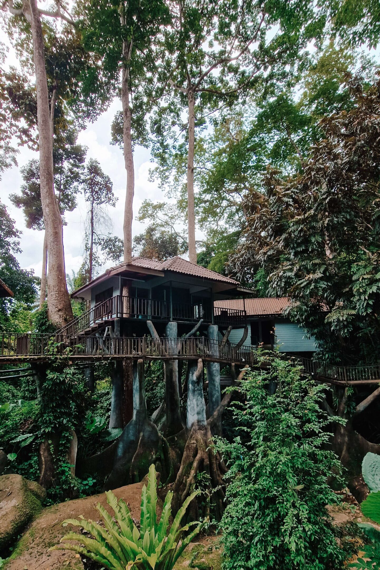 Kindvriendelijke hotels Khao Sok National Park