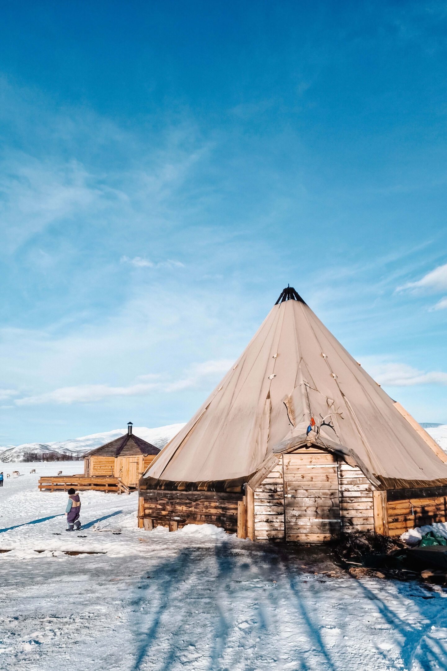 Reindeer Farm in Norwegian Lapland