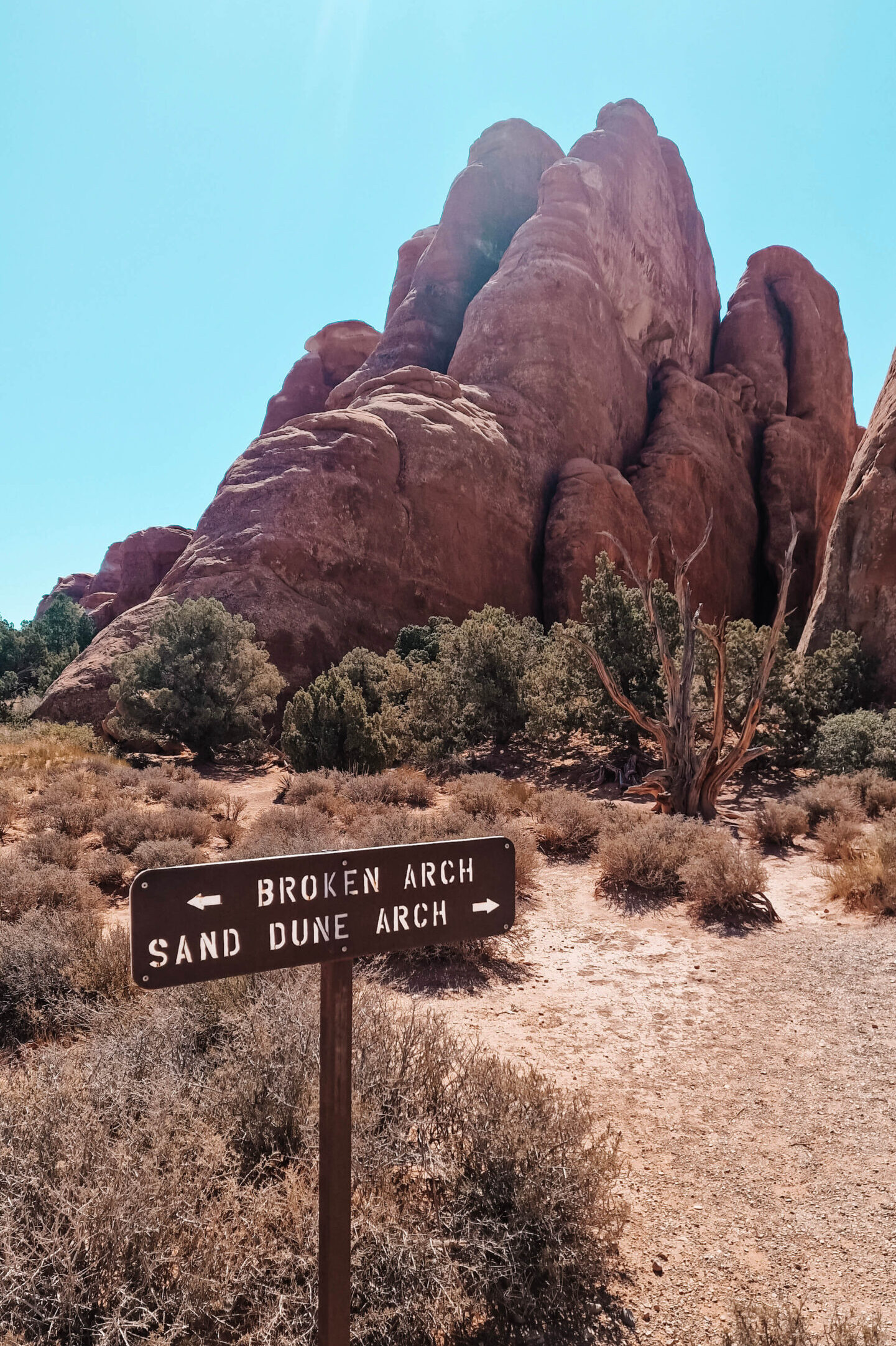 Sand Dune Trail Arches National Park