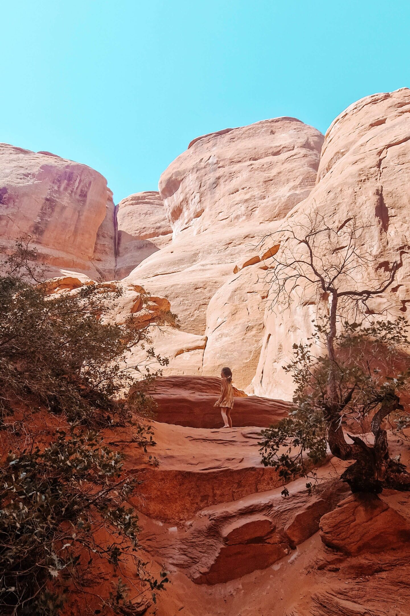 Arches National Park met kinderen