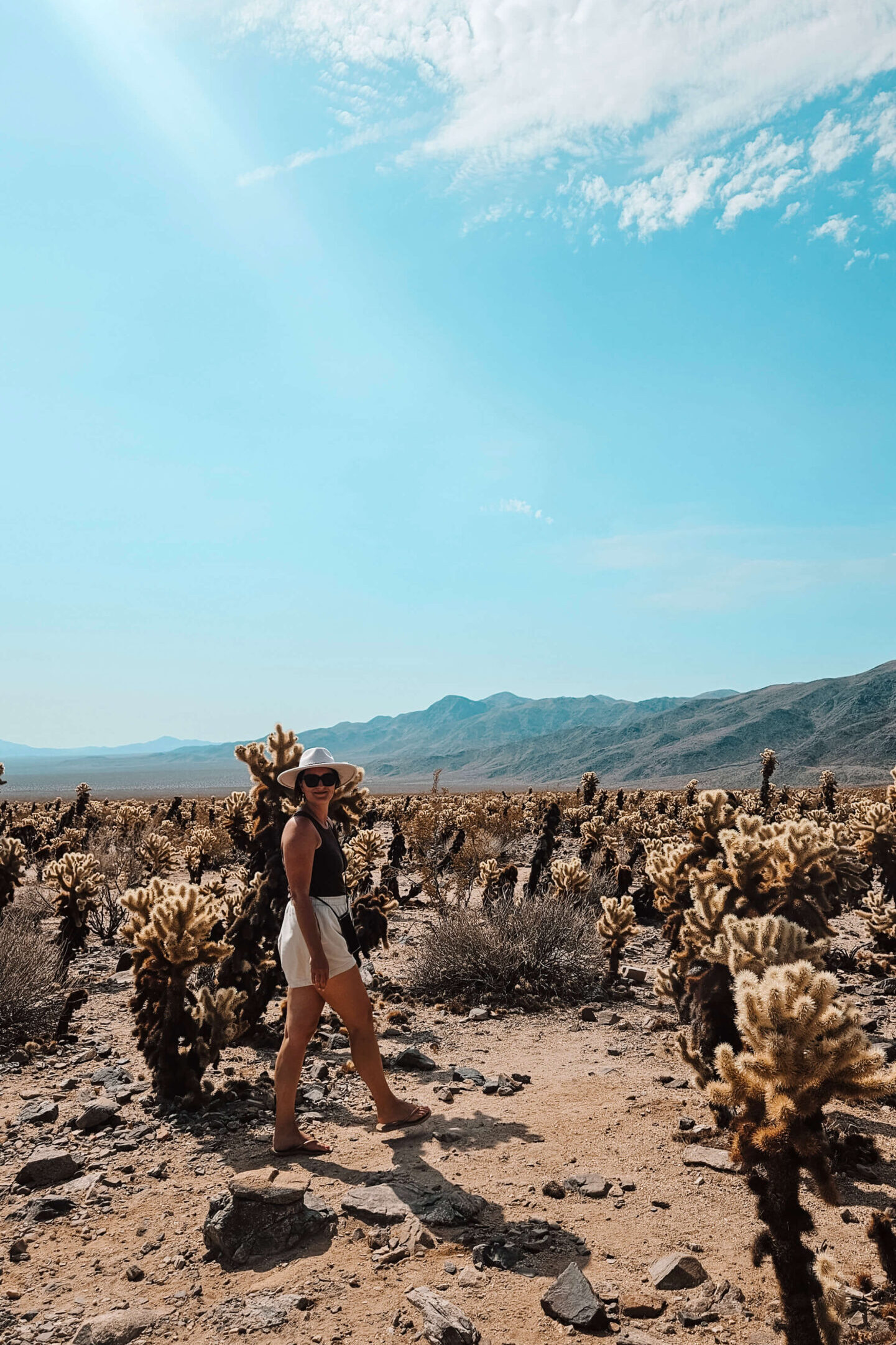 Camperreis Amerika met kinderen - Joshua Tree NP