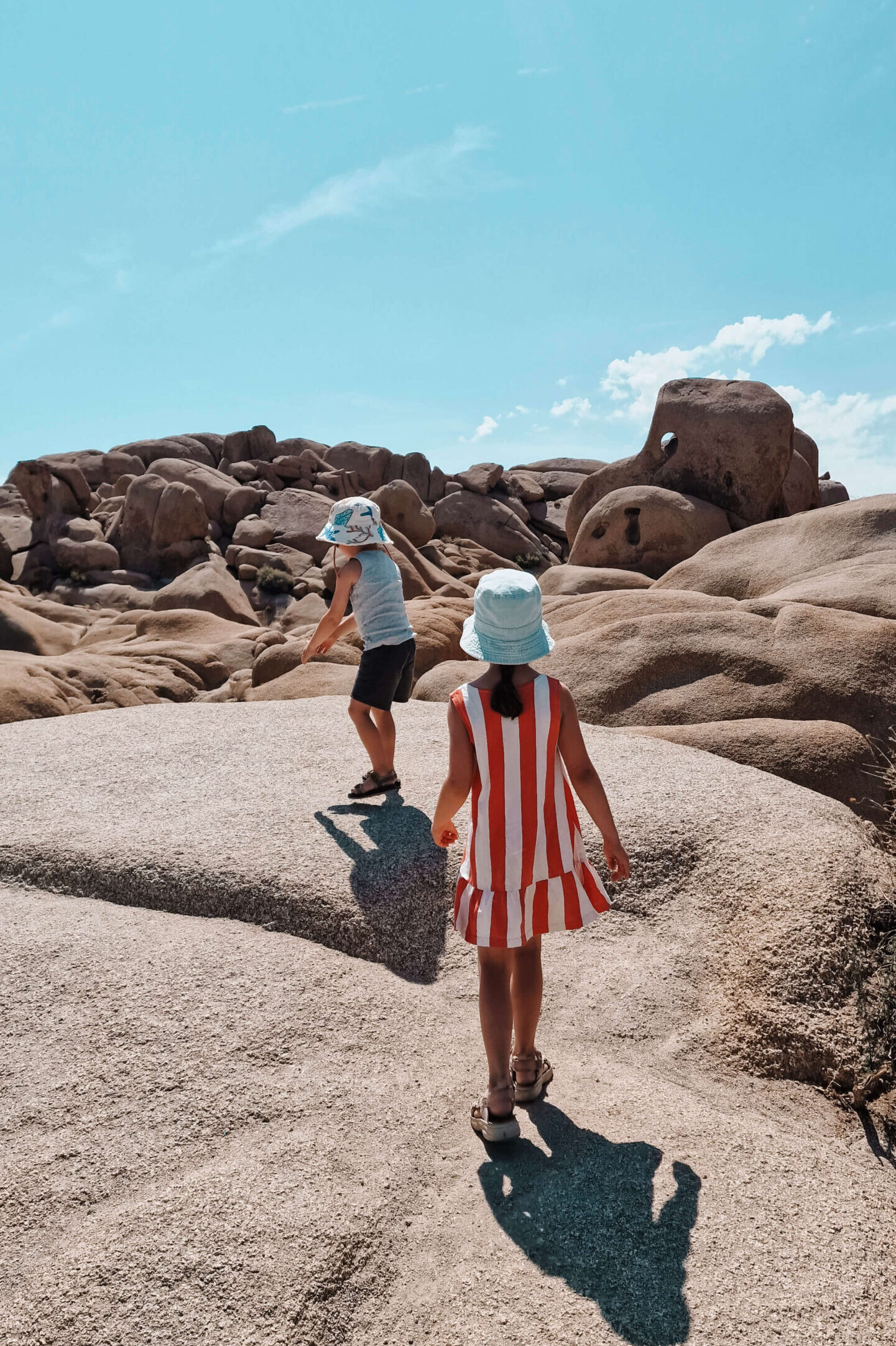 Camperreis Amerika met kinderen - Joshua Tree NP