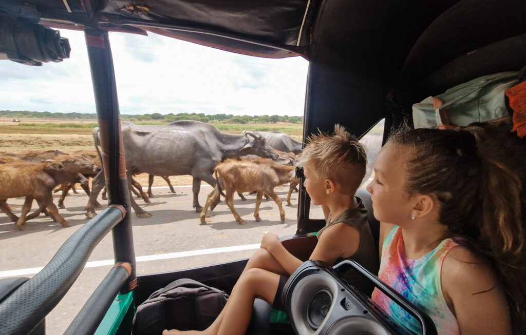 Tuktuk Sri Lanka with kids
