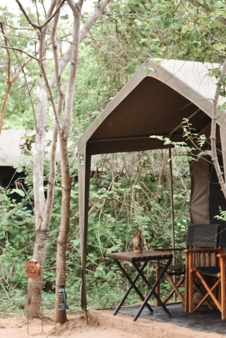 Big Game Yala - by Eco Team met kinderen