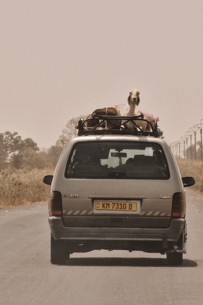 Vervoer Gambia met kinderen