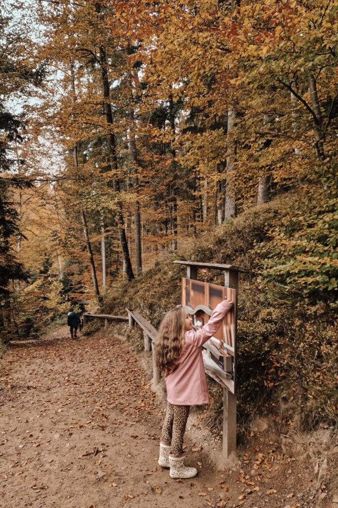 KugelWaldPfad Duitsland