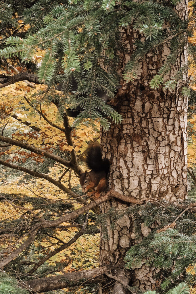 Baden-Württemberg met kinderen