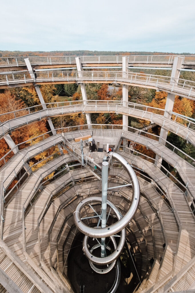 Baumwipfelpfad Bad Wildbad