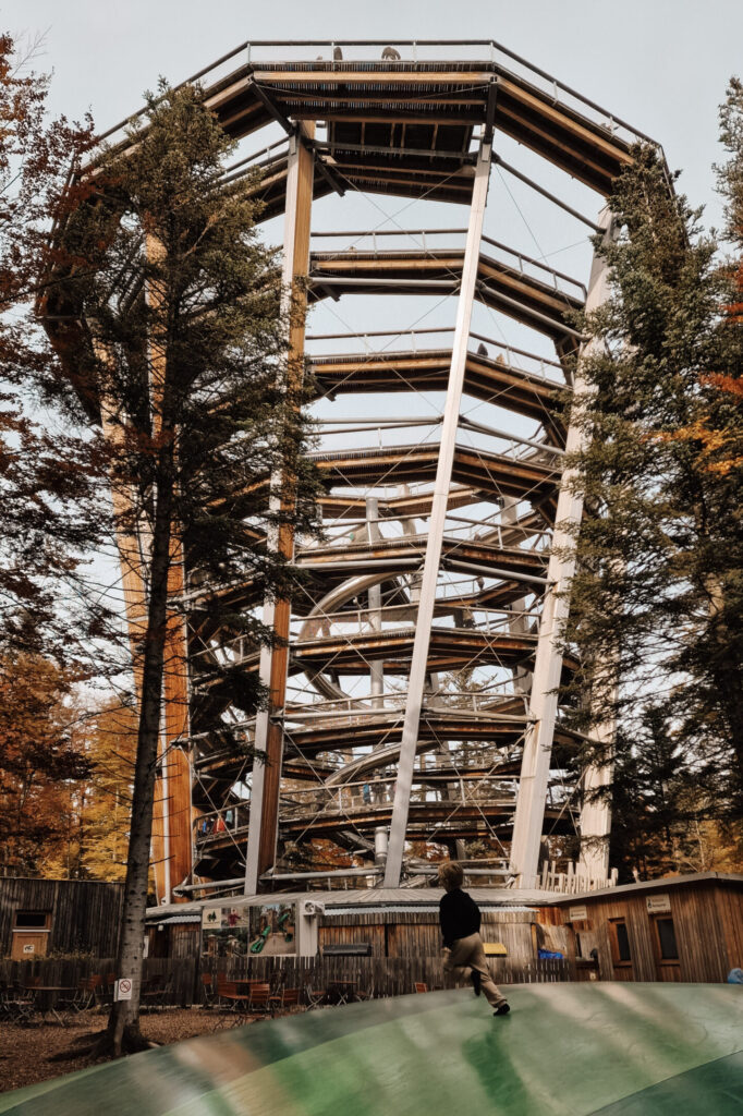 Baumwipfelpfad Bad Wildbad