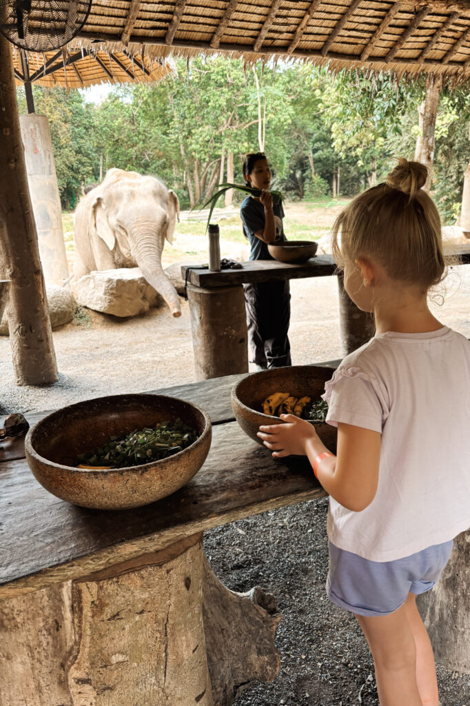 Koh Phangan Elephant Sanctuary