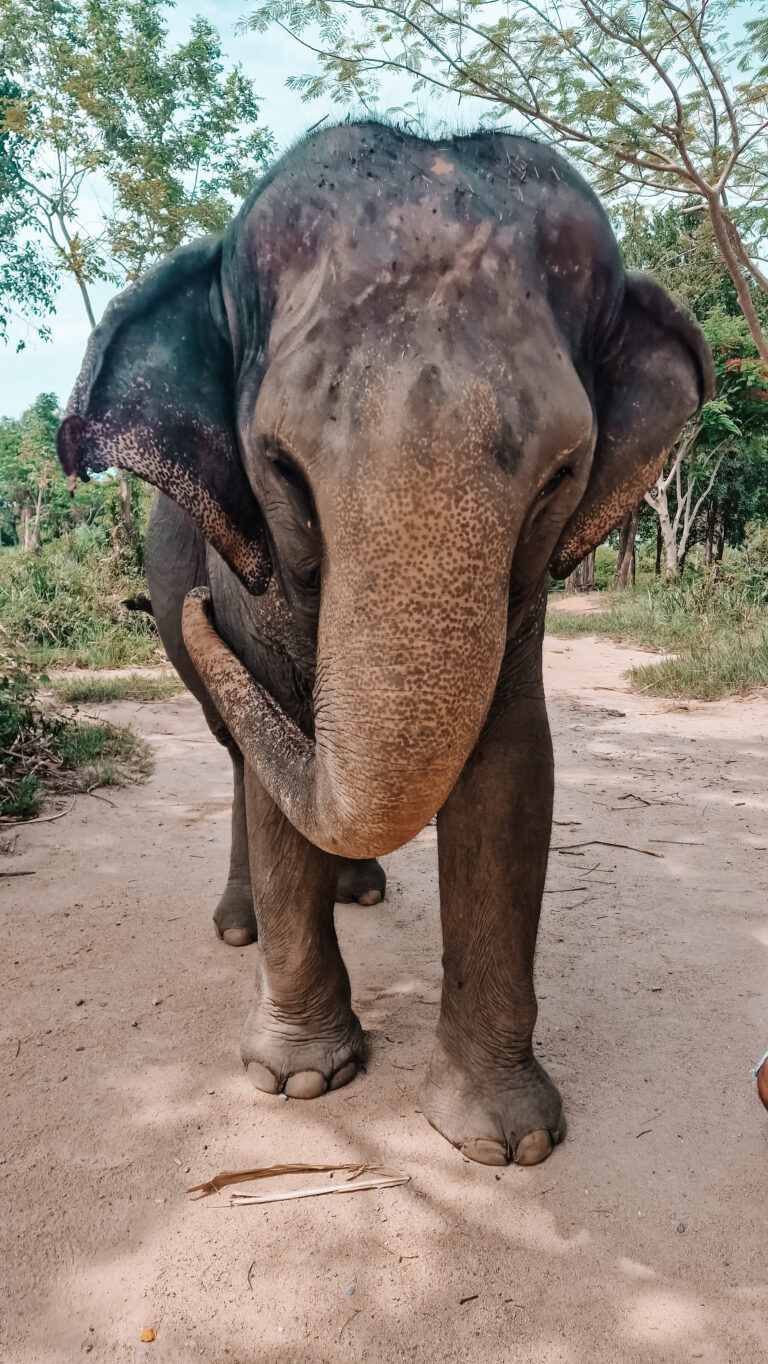 family holiday costs Thailand