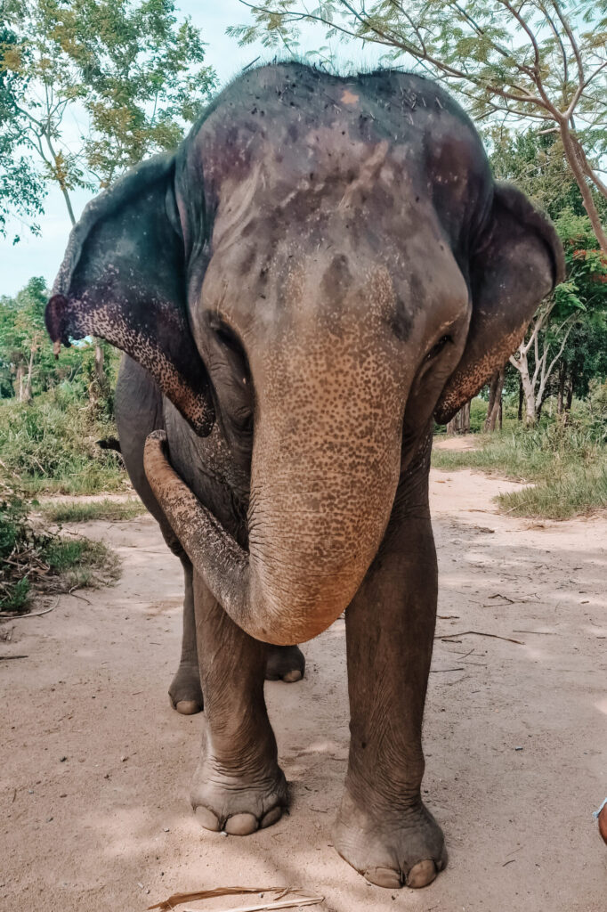 kosten vakantie thailand gezin