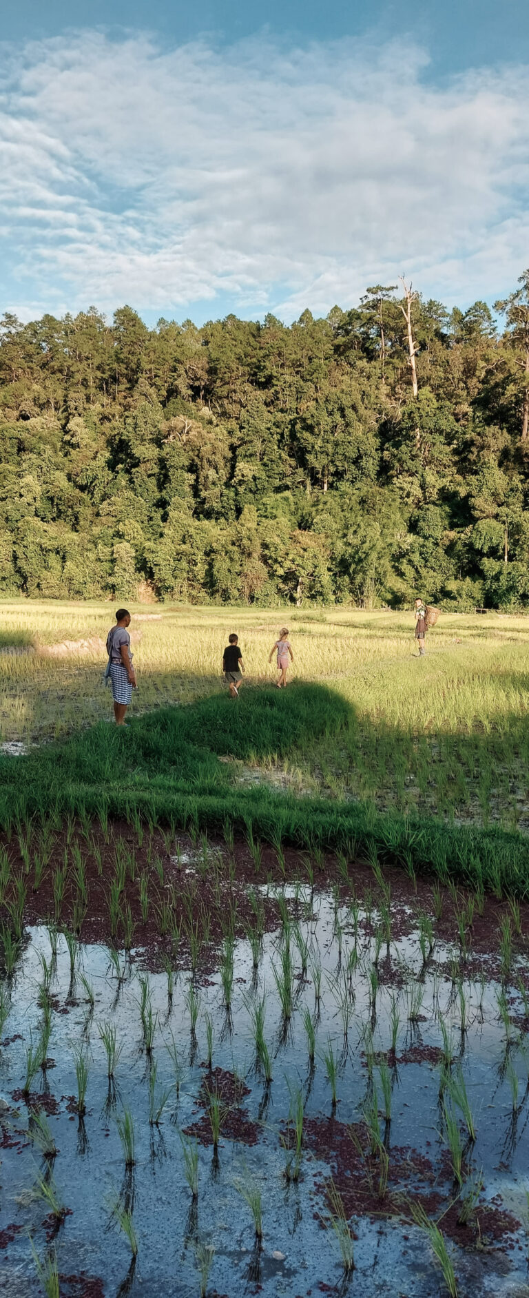 Chiang Mai with kids