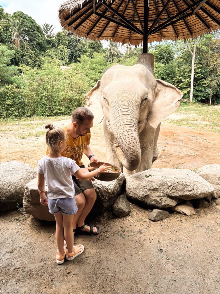 Koh Phangan Elephant Sanctuary