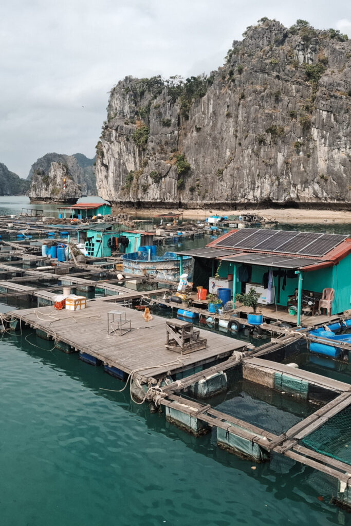 Cat Ba eiland met kinderen