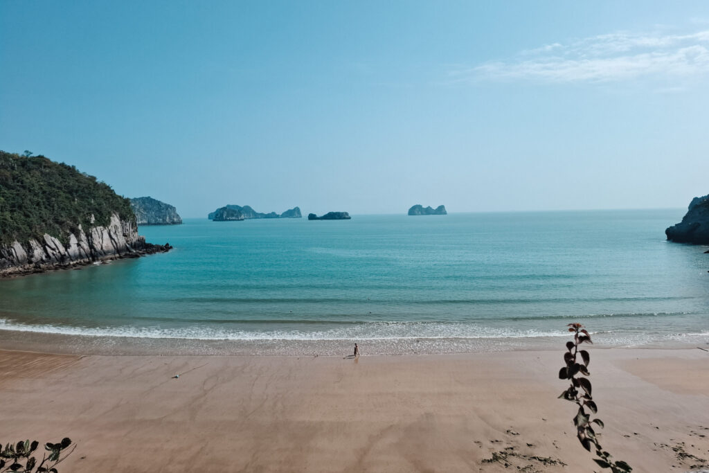 Cat Co Beach