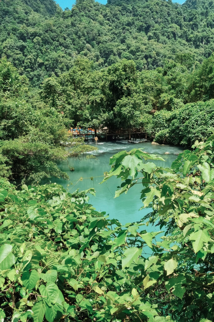Phong Nha met kinderen