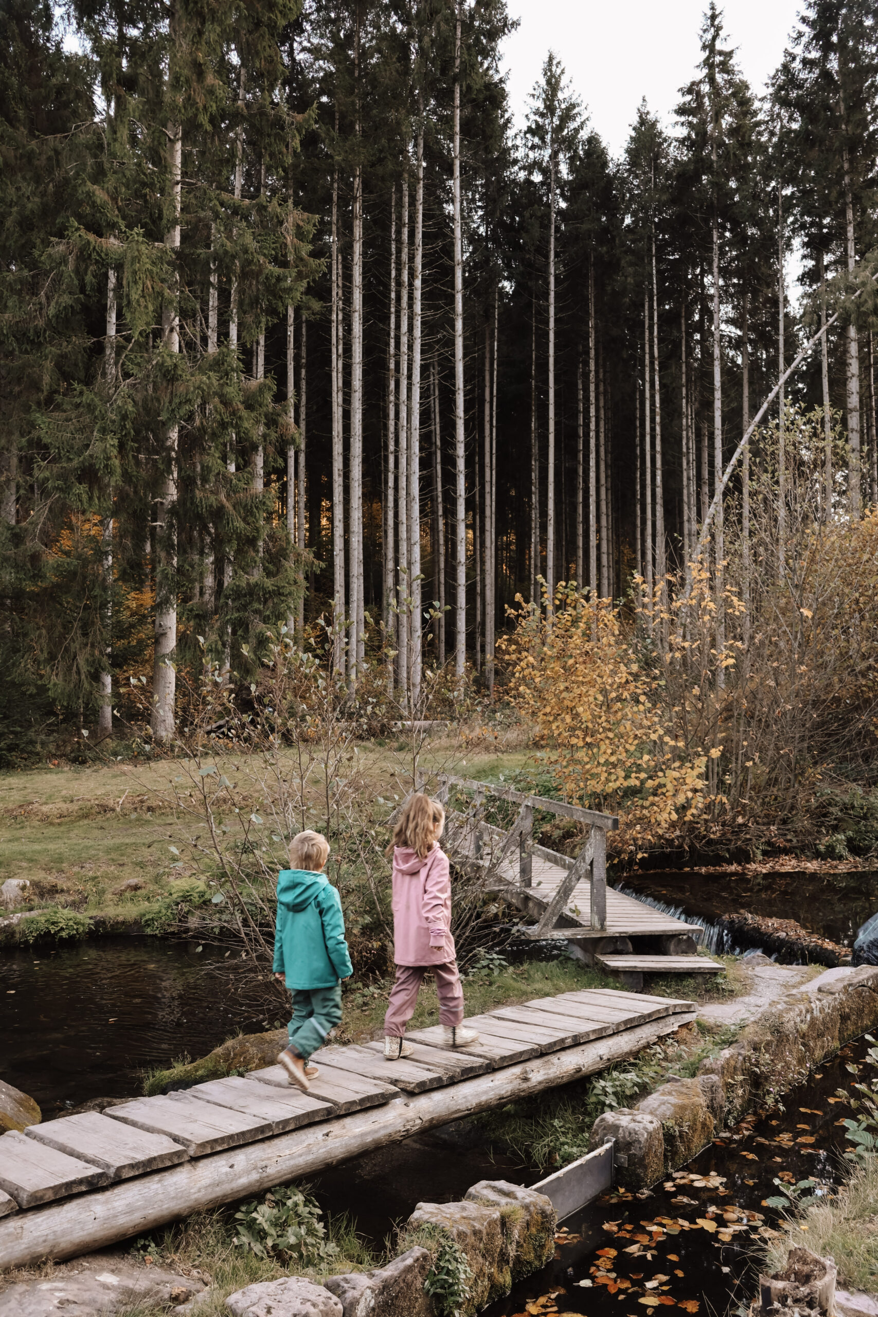 Kleinzhof Bad Wildbad met kinderen